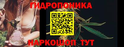стафф Свободный